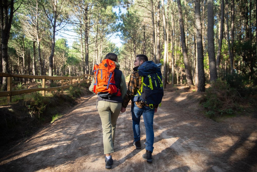 Cantabria verde: ecoturismo y sostenibilidad para grupos conscientes