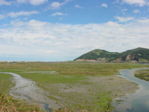 Las Marismas de Santoña y Noja: un paraíso para los amantes de la naturaleza