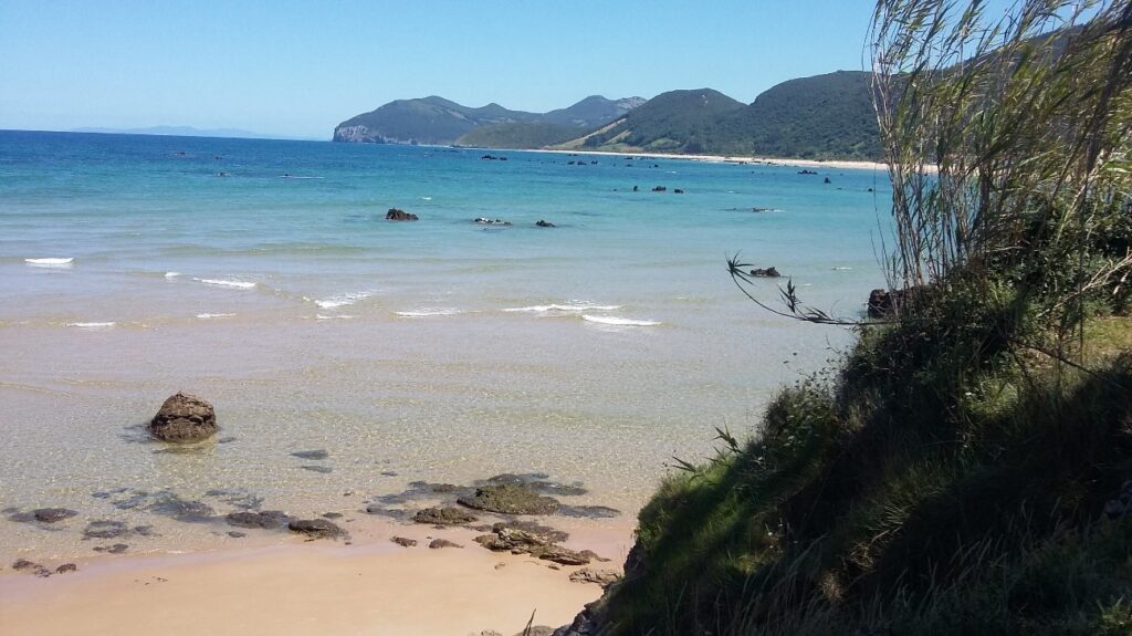 Las Marismas de Santoña y Noja: un paraíso para los amantes de la naturaleza