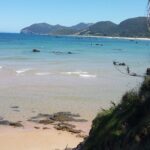 Las Marismas de Santoña y Noja: un paraíso para los amantes de la naturaleza