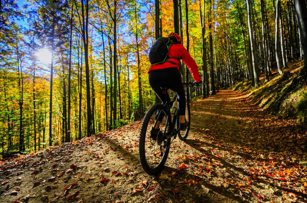 Ruta en bicicleta en Vía verde del Pas