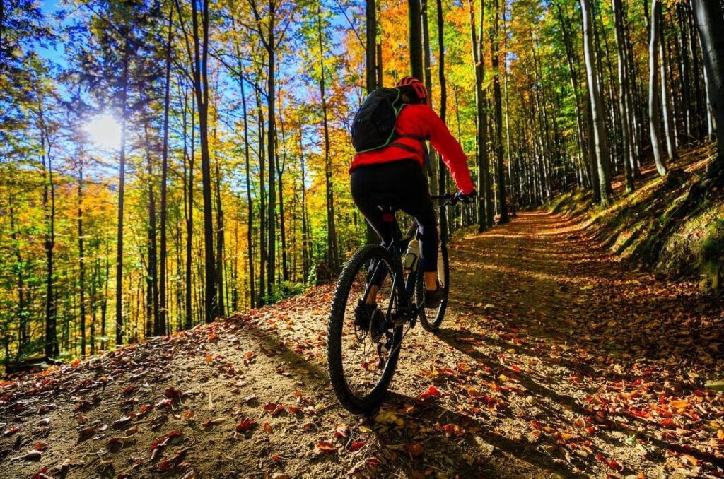 Cantabria sobre ruedas rutas en bicicleta para grupos