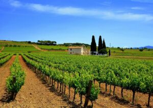 Rutas del vino en cantabria