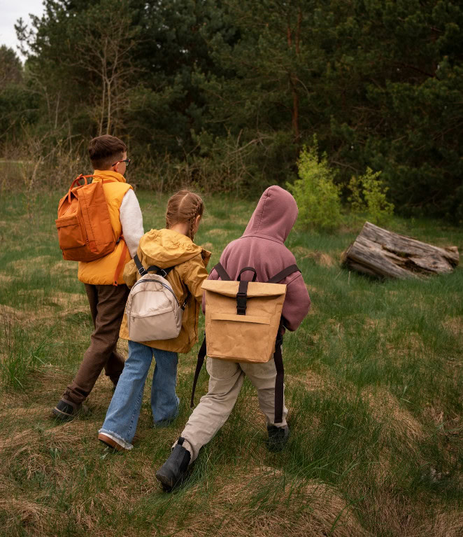 ¿Por que elegir un plan de convivencia escolar en Cantabria?
