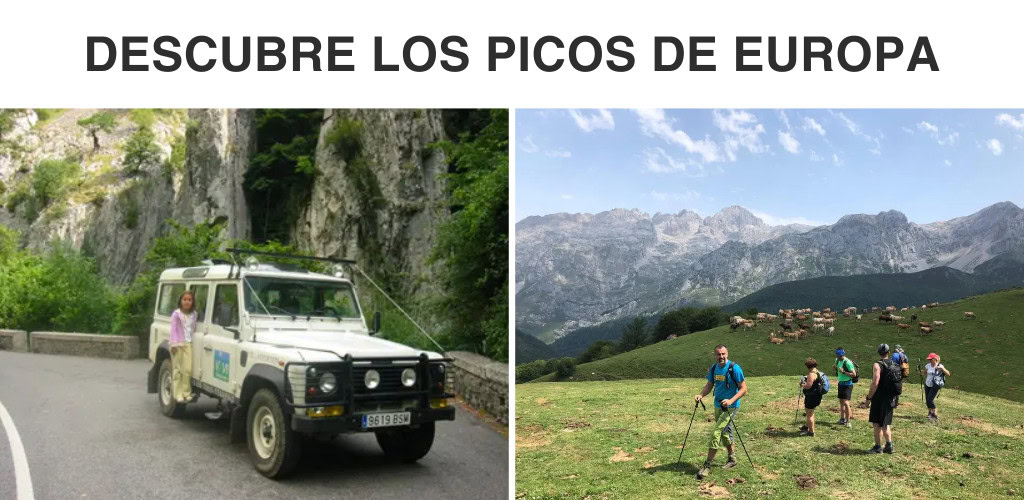 Picos de europa en cantabria