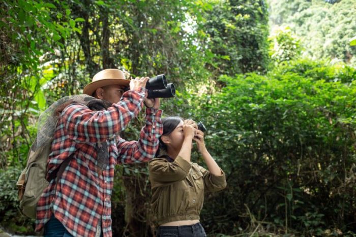 observación de fauna en cantabria