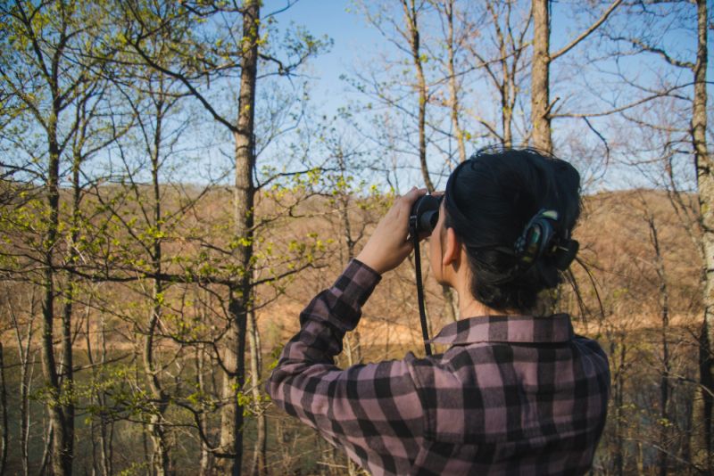 observación de fauna en cantabria