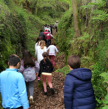 Caminata por la naturaleza en Gandara, alojamiento rural en Asturias, senderismo en un entorno natural, turismo activo.