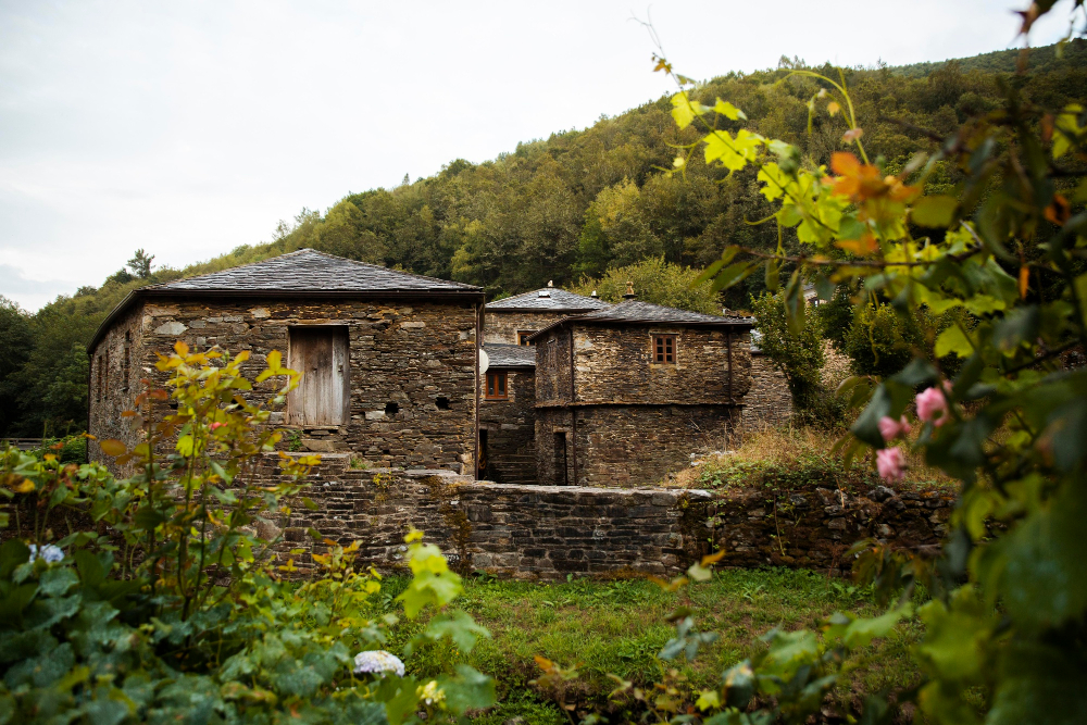 Entorno natural del Albergue La Casa de Gándara rodeado de prados verdes en Cantabria - alojamiento senderismo
