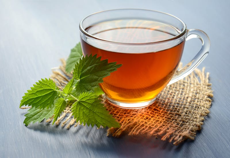 Infusiones y tés medicinales en retiro de yoga y bienestar en Cantabria