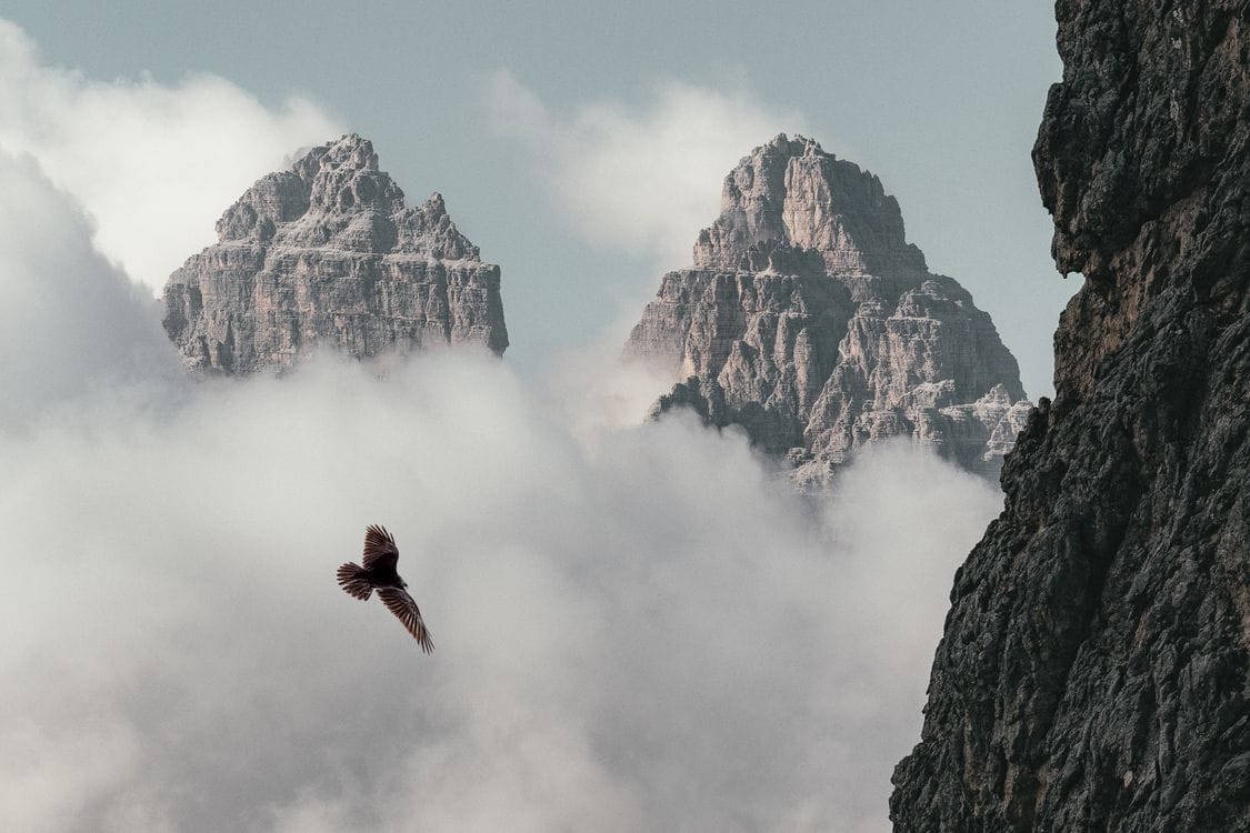 Águila volando cerca de montañas - técnicas fotografía fauna junio Cantabria