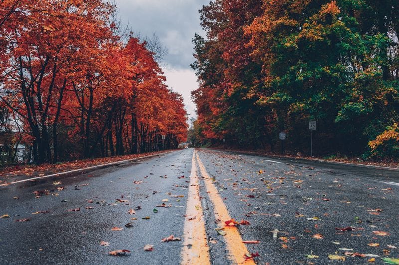Hojas de otoño en Cantabria con colores dorados y rojos espectaculares