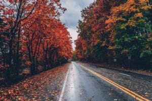 Ruta de colores dorados en otoño en Cantabria - bosque de hayas con hojas rojas y doradas