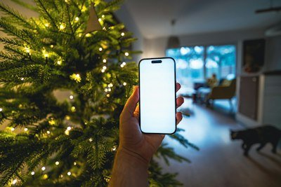 Árbol de Navidad con luces cálidas en el interior del albergue en Cantabria