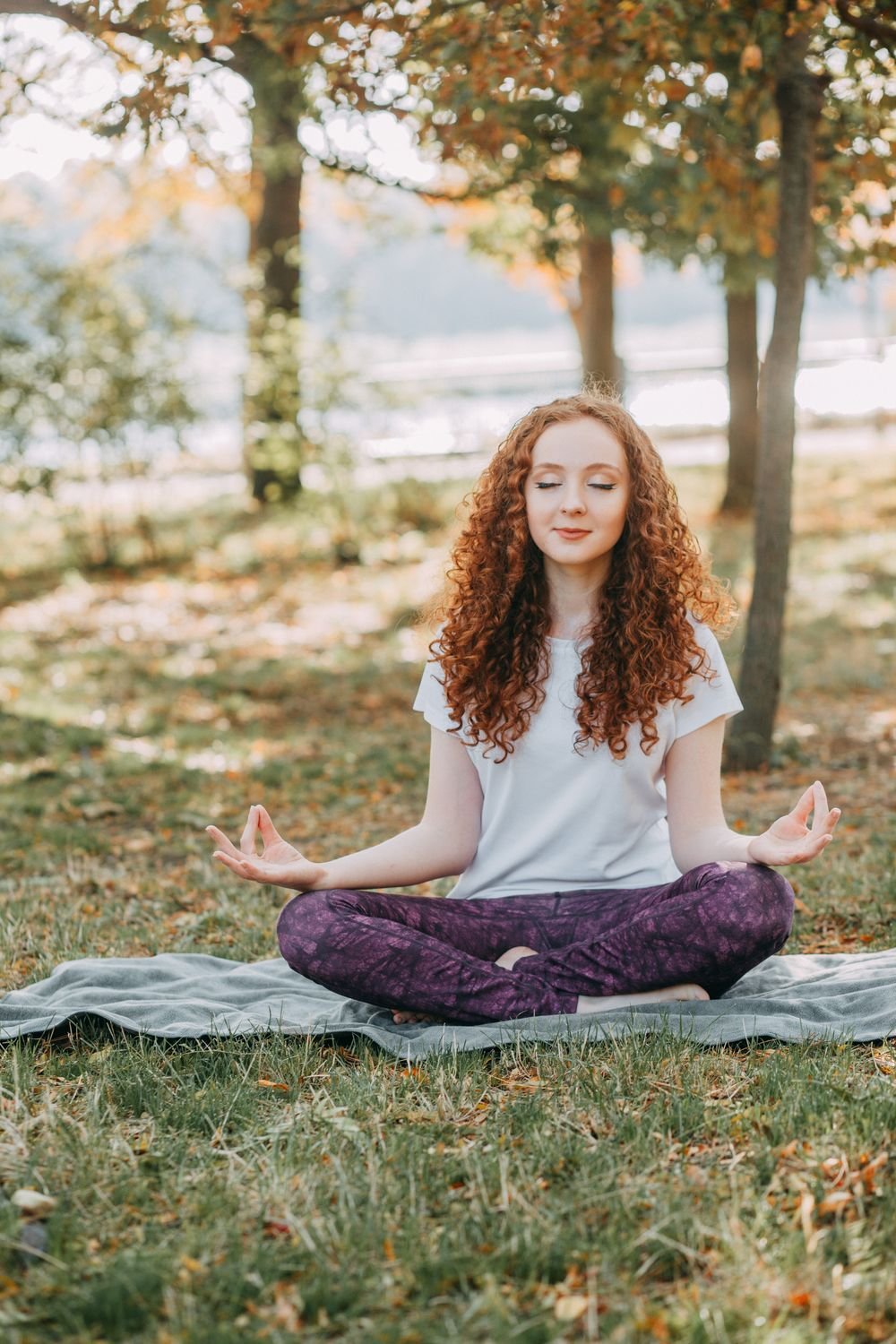 Sendero en bosque otoñal para caminata meditativa y contemplación