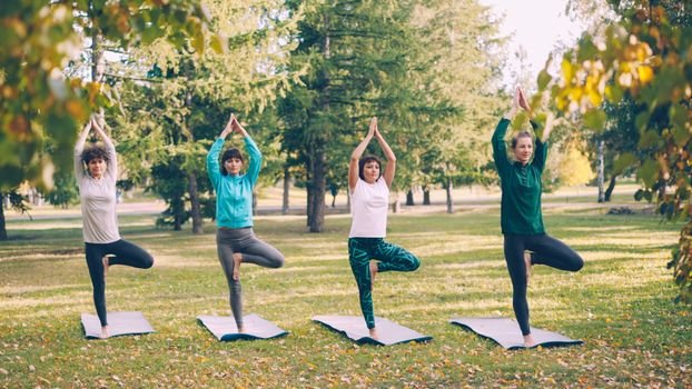 Sesión de yoga en grupo al aire libre en Cantabria