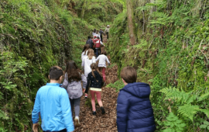 Escolares campamento rural para colegios en Cantabria